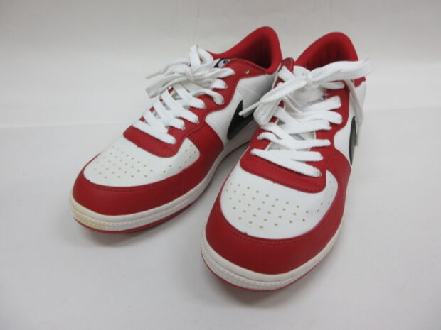 ナイキ NIKE TERMINATOR CHICAGO ターミネーター ベーシック シカゴ 336610-101 スニーカー