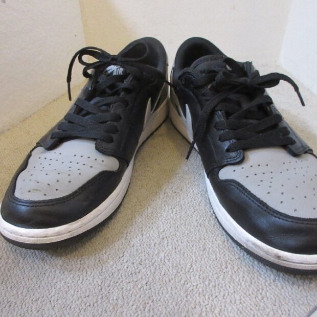 ナイキ NIKE AIR JORDAN1 RETRO LOW OG Shadow エアジョーダン1 CZ0790-003スニーカー買取しました。のイメージ