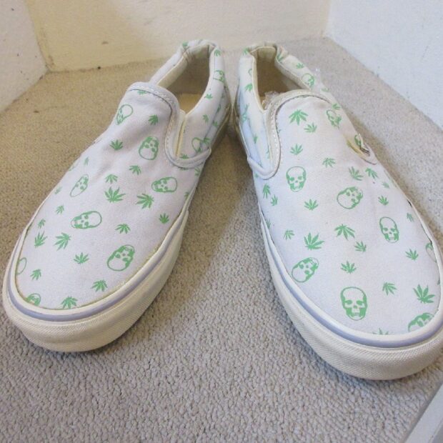 VANS バンズ ルシアン ペラフィネ Lucien Pellat-Finet スリッポンスニーカー買取しました。のイメージ